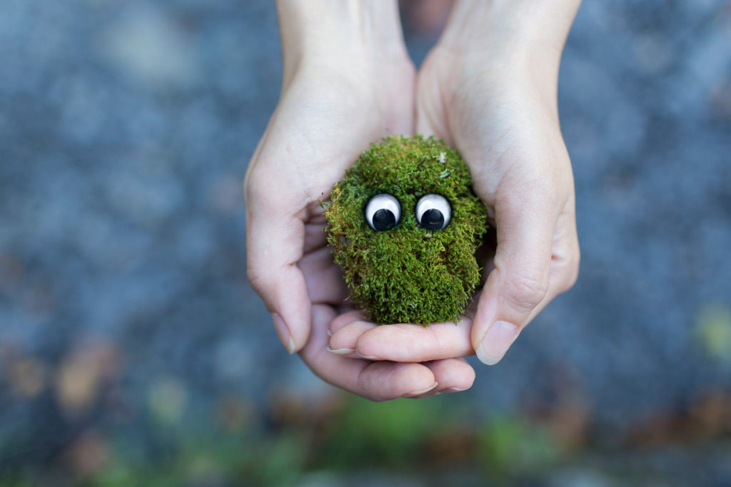 Grass Animal